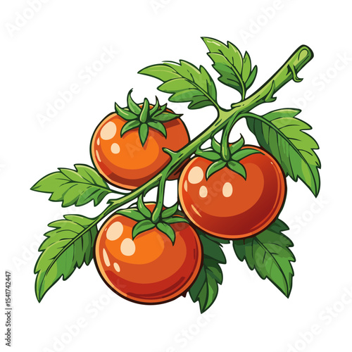 Branch of tomatoes vector color illustration. Image of fresh ripe red vegetables on a twig on an isolated background. For packaging and design.
