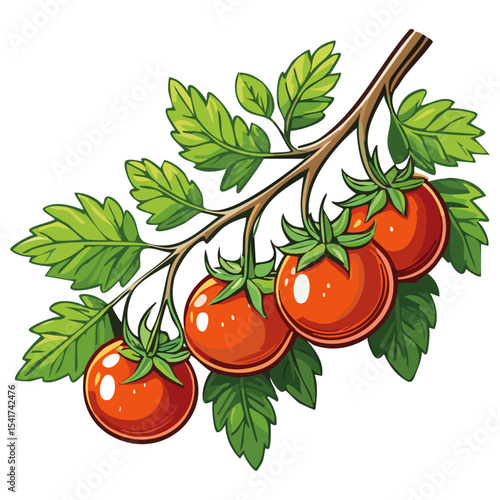 Branch of tomatoes vector color illustration. Image of fresh ripe red vegetables on a twig on an isolated background. For packaging and design.