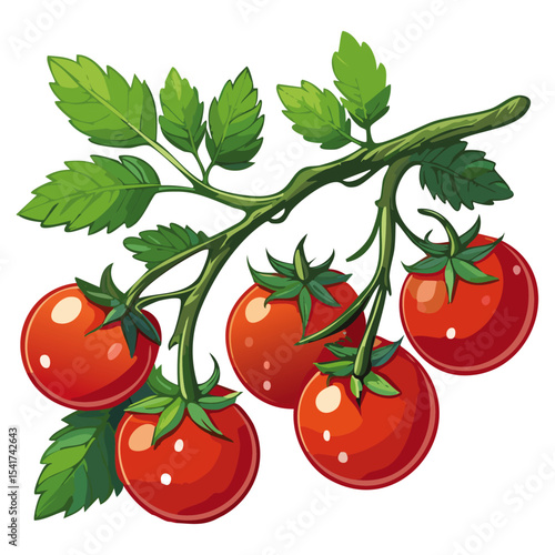 Branch of tomatoes vector color illustration. Image of fresh ripe red vegetables on a twig on an isolated background. For packaging and design.