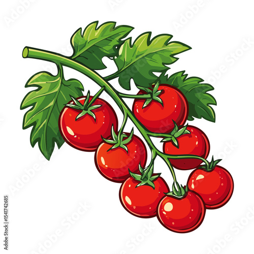 Branch of tomatoes vector color illustration. Image of fresh ripe red vegetables on a twig on an isolated background. For packaging and design.