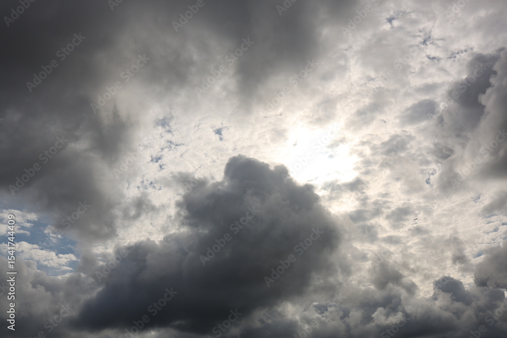 Fototapeta premium in the sky