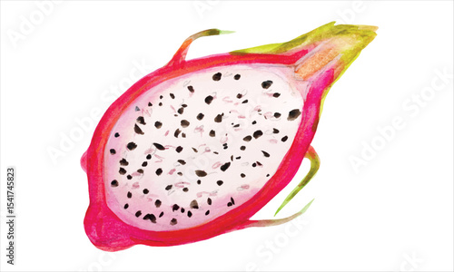 Half Dragon Fruit Watercolor Vector Illustration Top View Isolated on White