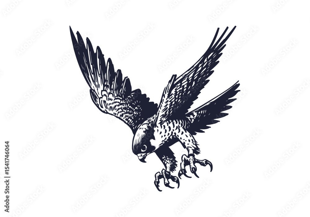 Obraz premium Peregrine Falcon hand drawn sketch vector illustration