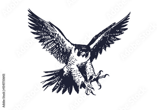 Peregrine Falcon hand drawn sketch vector illustration