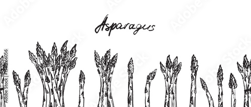 Seamless border with asparagus bundles and stalk in black brush stroke texture isolated on white. Hand drawn vector sketch illustration in vintage charcoal ink. Package design, print