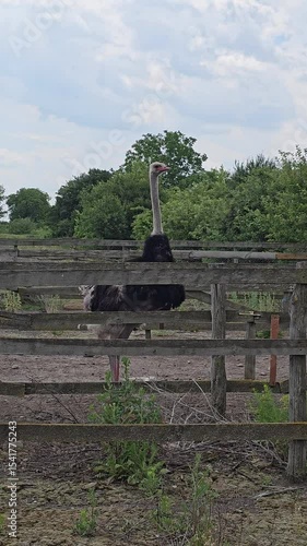 A bird on a bird