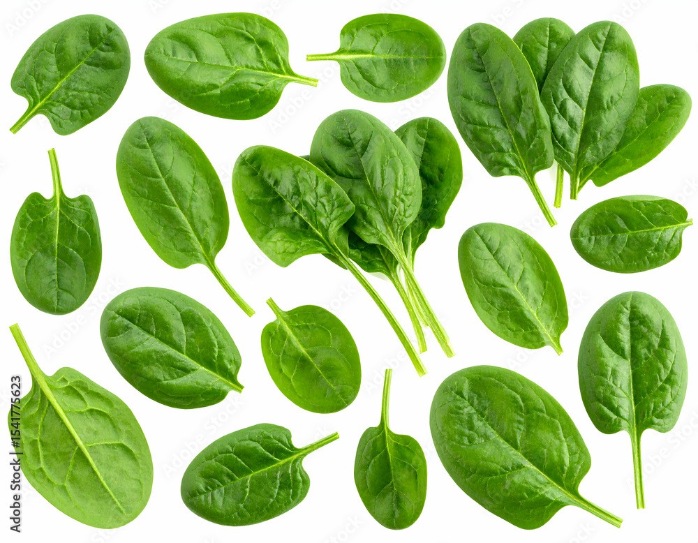 Fototapeta premium Fresh, Vibrant Spinach Leaves A Healthy Collection Isolated on White Background