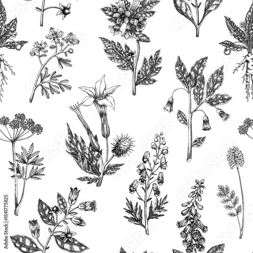 Witch herbs seamless pattern. Poisonous plants background. Apothecary hand-drawn vector illustration. NOT AI generated
