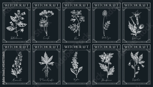 Witchcraft labels set. Poisonous plants and medicinal herbs sketches. Art Nouveau, Art Deco, retro style. Vintage frame design templates on chalkboard. NOT AI generated