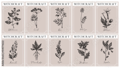 Witchcraft labels set. Poisonous plants and medicinal herbs sketches. Art Nouveau, Art Deco, retro style. Vintage frame design templates on chalkboard. NOT AI generated