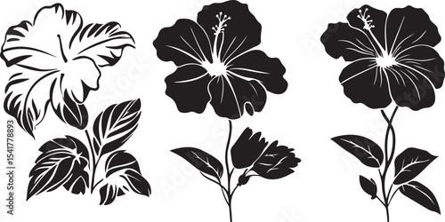 Elegant Black and White Hibiscus Flower Vector Set Featuring Three Distinct Floral Designs with Detailed Petals and Leaves Perfect for Botanical Illustrations and Graphic Elements