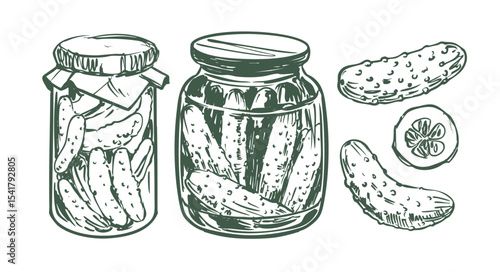 Pickles, cucumbers in a jar, hand drawn sketch, realistic vector illustration