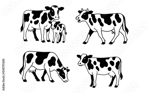 Vector illustration of black and white dairy cows and calves in different poses. Includes grazing, standing, and walking cows. Hand-drawn style perfect for farm, agriculture, 