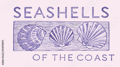 abstract vector of sea shells