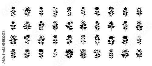 Flower Silhouette Pack - 40 Design