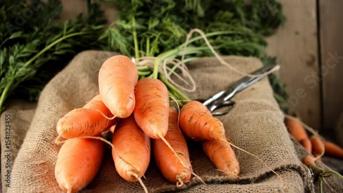   Fresh Organic Carrots on wooden background.  a bunch of fresh carrots in a close-up. Vegetables harvest. Vegetables Vitamins Keratin. Natural organic healthy food concept