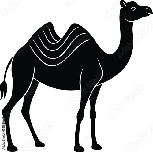 Silhouette of a dromedary camel standing calmly against a white backdrop