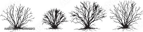 A set of shrubs and trees. Hand drawn vector illustration
