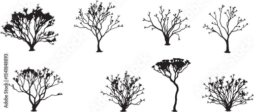 A set of shrubs and trees. Hand drawn vector illustration