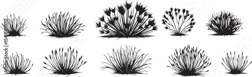A set of shrubs and trees. Hand drawn vector illustration