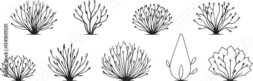 A set of shrubs and trees. Hand drawn vector illustration