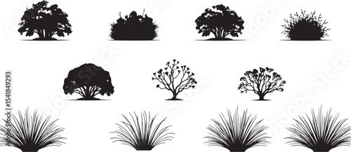 A set of shrubs and trees. Hand drawn vector illustration