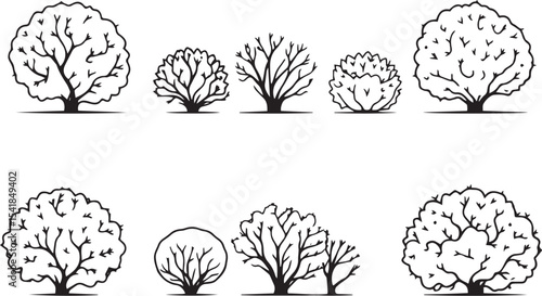 A set of shrubs and trees. Hand drawn vector illustration