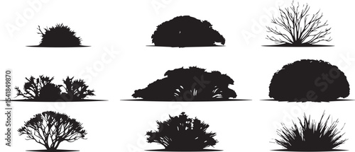 A set of shrubs and trees. Hand drawn vector illustration