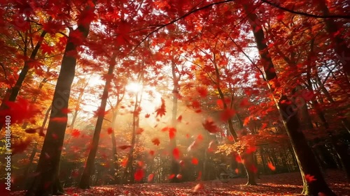 Vibrant autumn forest with falling red leaves, sunlight filtering through trees, serene atmosphere