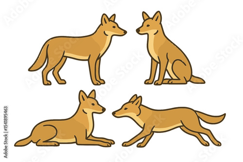 jackal in different poses on a transparent background