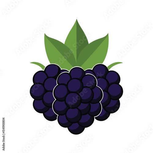 Juicy Blackberries A Delightful Illustration of Summer Berries