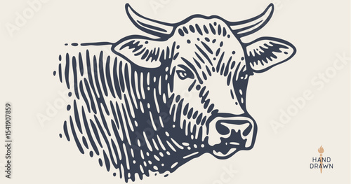 Cow, bull, beef. Hand drawn vintage retro print, black white cow, bull, beef sketch ink pencil drawing, engrave old school. Sketch artwork silhouette cow. Side view profile bull. Vector Illustration