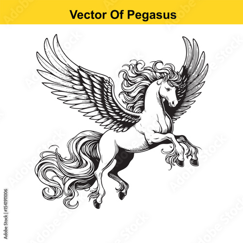 Black and White Line Art of a Majestic Pegasus with Wings for Easy Tracing