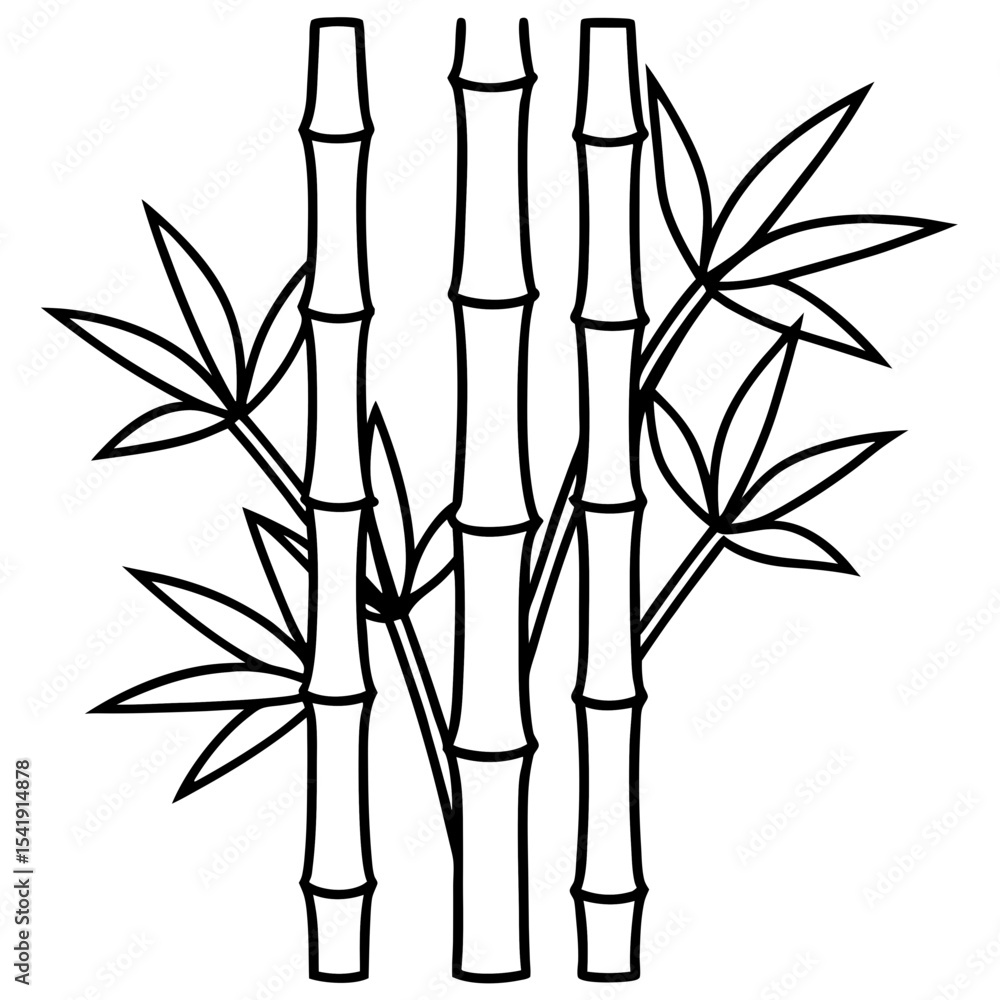 Fototapeta premium Black and White Bamboo Line Drawing Vector