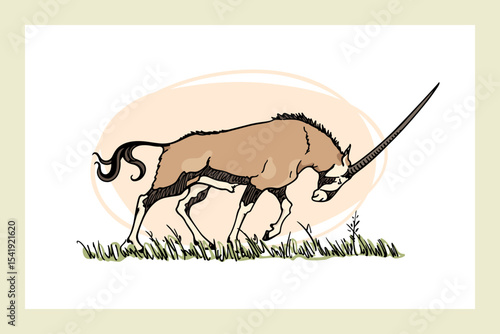 Fototapet Vector card with hand drawn graceful oryx with its head down, walking through savannah