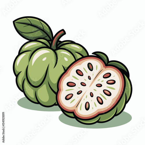 Fresh cherimoya fruit illustration whole and sliced