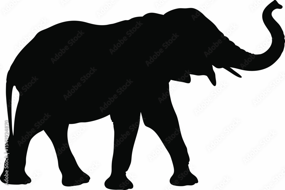 Fototapeta premium Elephant Walking with Trunk Raised