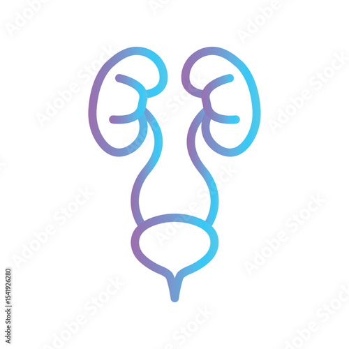 Urinary System Color gradient illustration vector icon which can easily modify or edit 
