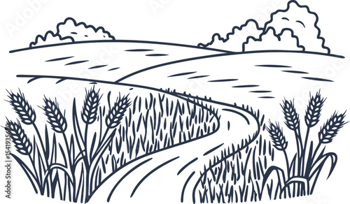 Wheat field with rural path and hills hand drawn countryside landscape, harvest agriculture illustration
