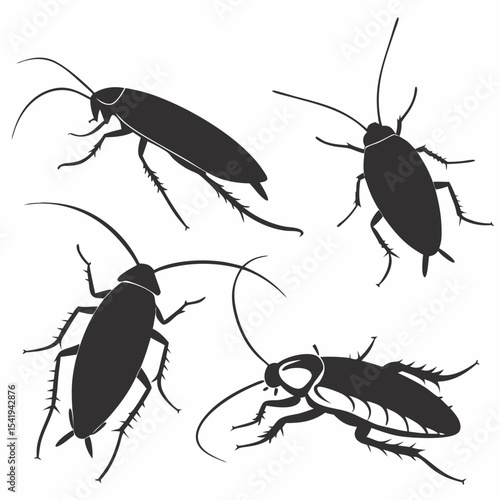 cockroach vector