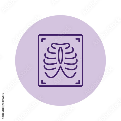 X-ray vector, pixel perfect, illustrator file 
