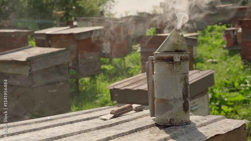 Smoker at the apiary, beekeeping, honey collection. Smoker at the apiary, beekeeping, honey collection.