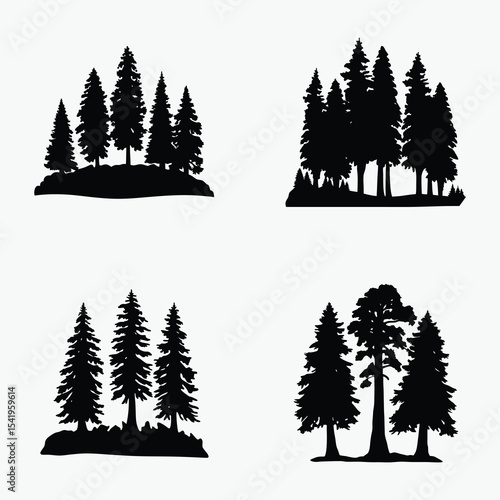 black and white redwood tree line art silhouette, vector illustration on white background
