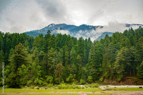 Cloud Covered Western Himalayan Mountains and Lush Green Pine Forest of Pahalgam, Kashmir, India – Scenic View of Iconic Hill Station and Popular Tourist Destination