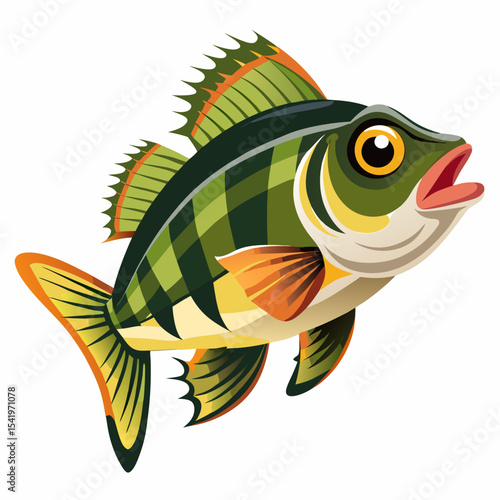 illustration of fish