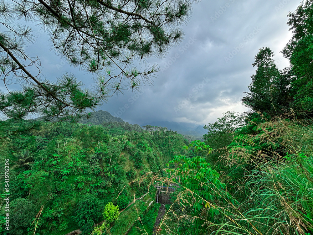 Fototapeta premium Beautiful summer landscape of green pine trees in a mountain forest under a blue sky with cloudsBeautiful summer landscape of green pine trees in a mountain forest under a blue sky with clouds
