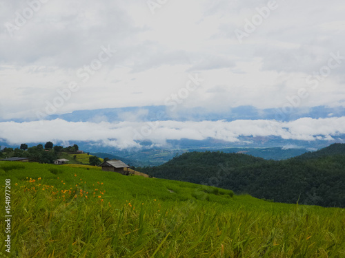 Wallpaper Mural Rice terraces in Mae Chaem, Chiang Mai, Thailand is serene view of green fields fresh air flowing streams and misty skies. Shot by smart phone Torontodigital.ca
