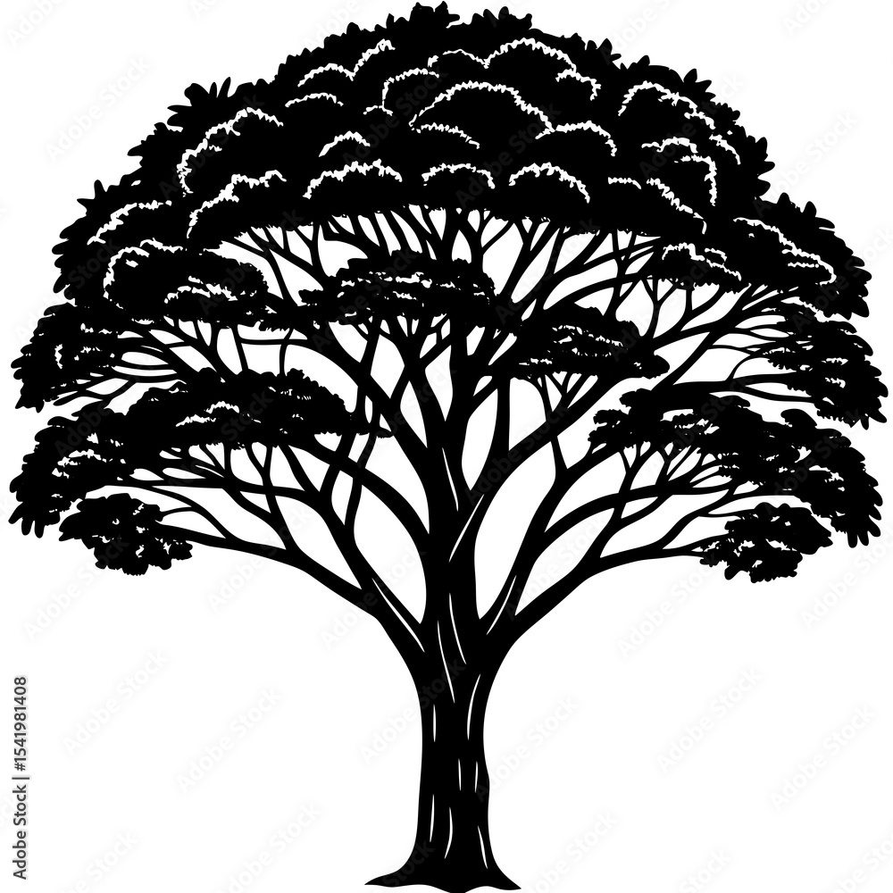 Obraz premium silhouette of tree