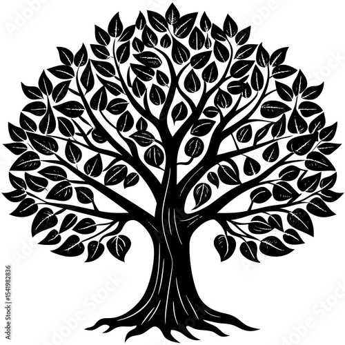 tree with roots