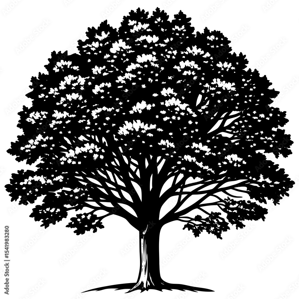 Fototapeta premium vector tree silhouette